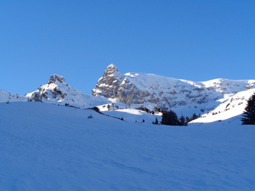 Nideri und Tristencholben